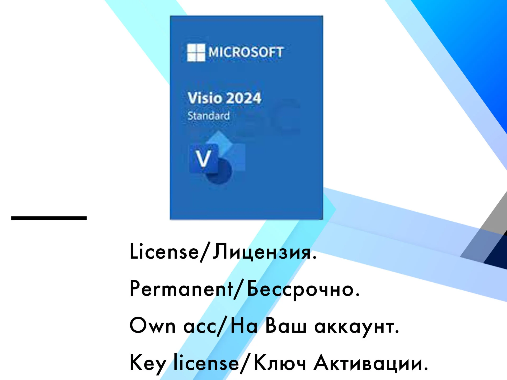 Microsoft Visio Standard 2024