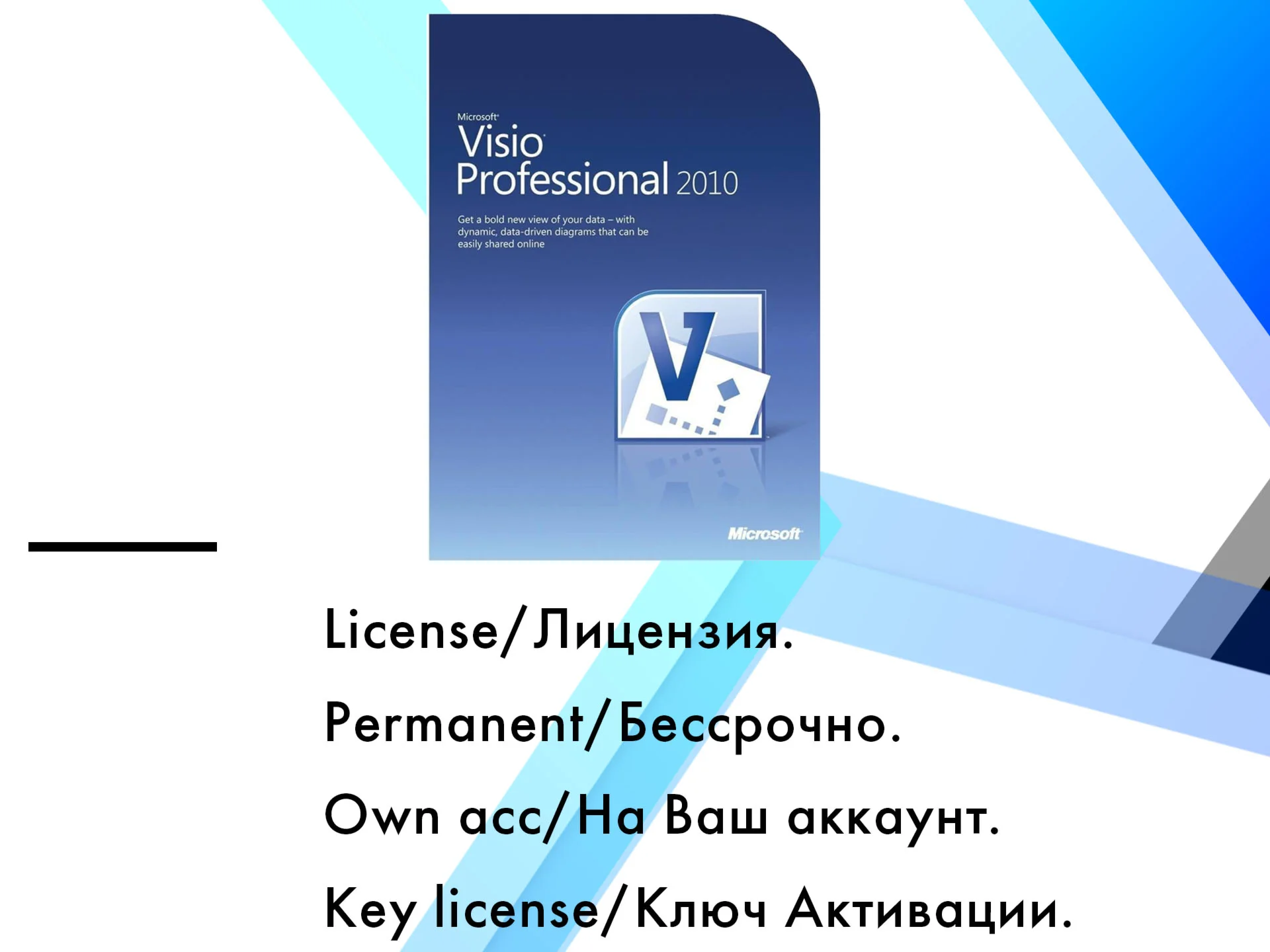 Microsoft Visio Professional 2010