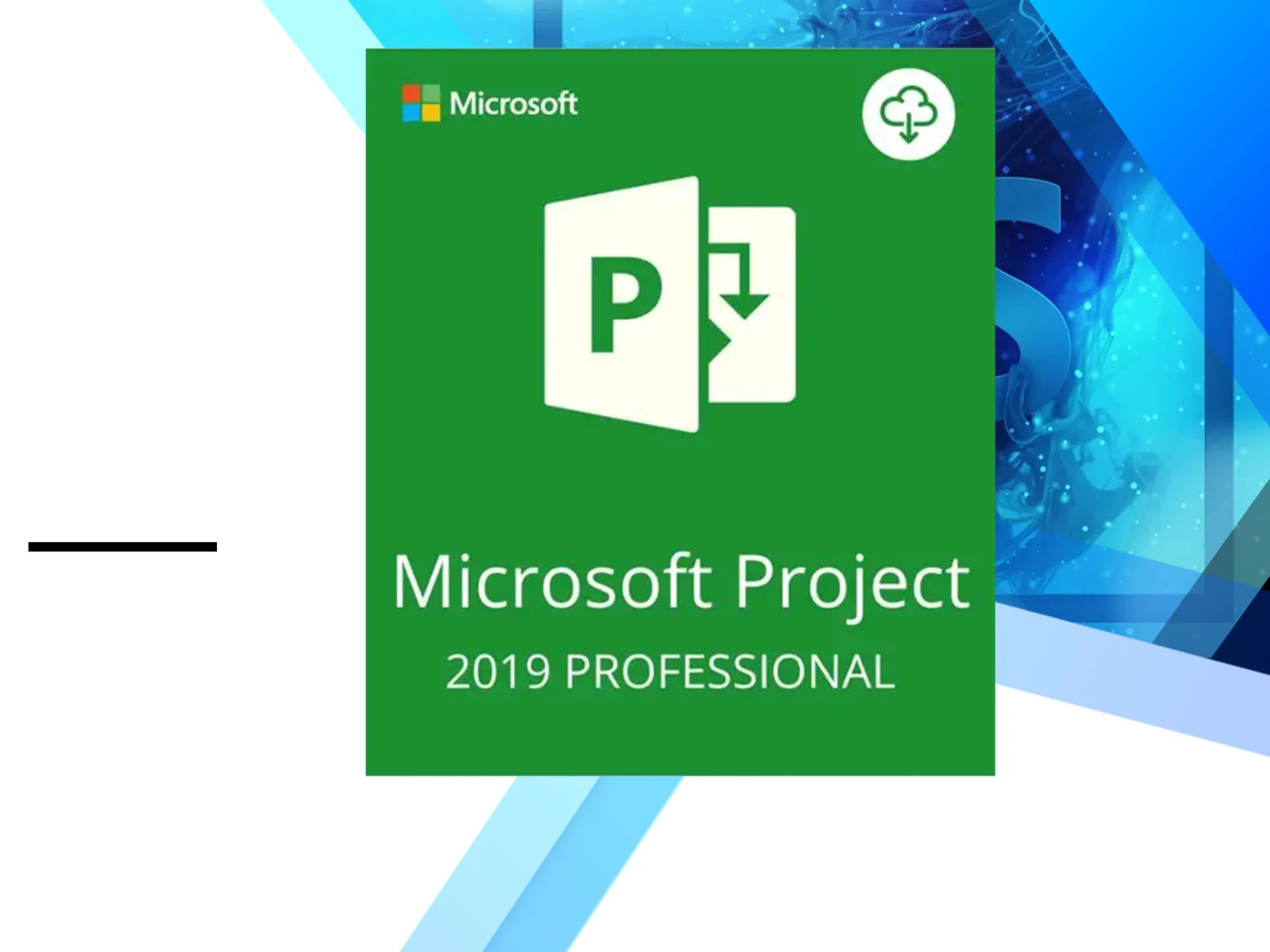 Microsoft Project Professional 2019