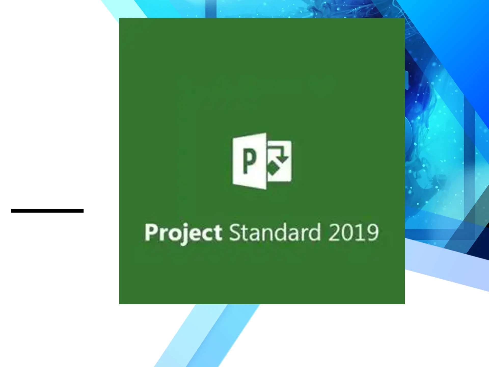 Microsoft Project 2019 Standard