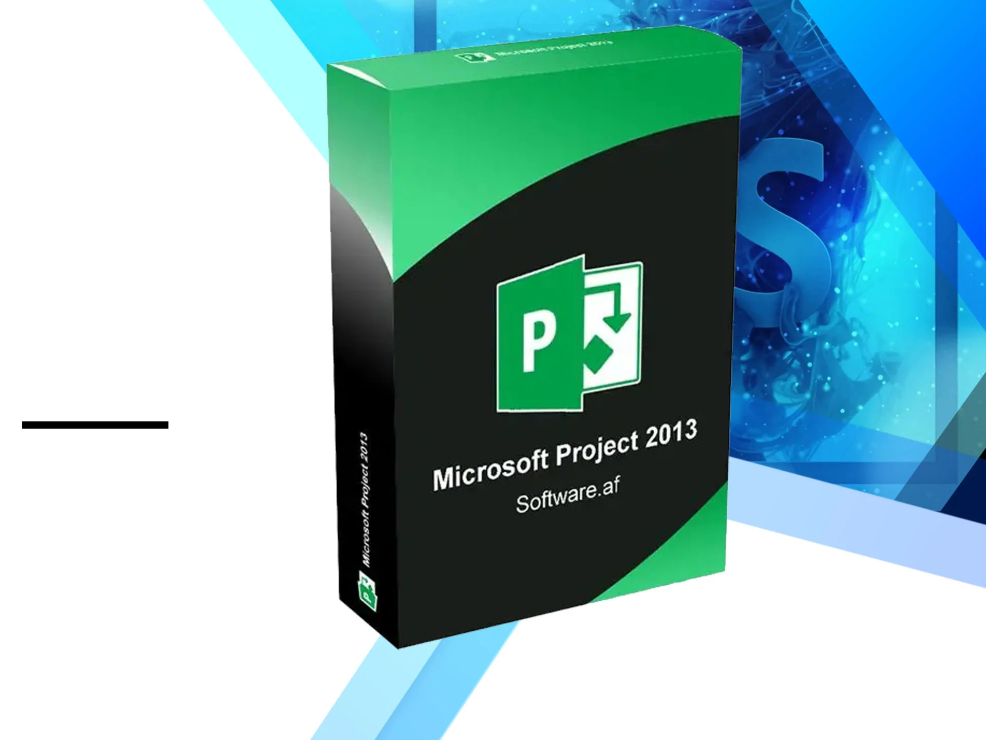 Microsoft Project Professional 2013