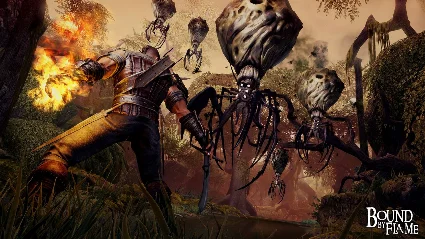 Bound by Flame (Ключ Steam / RU+CIS)