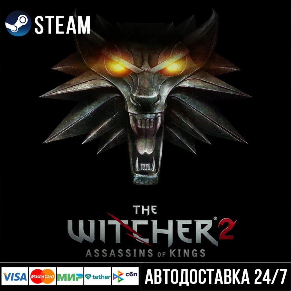 The Witcher 2: Assassins of Kings СТИМ Steam Gift