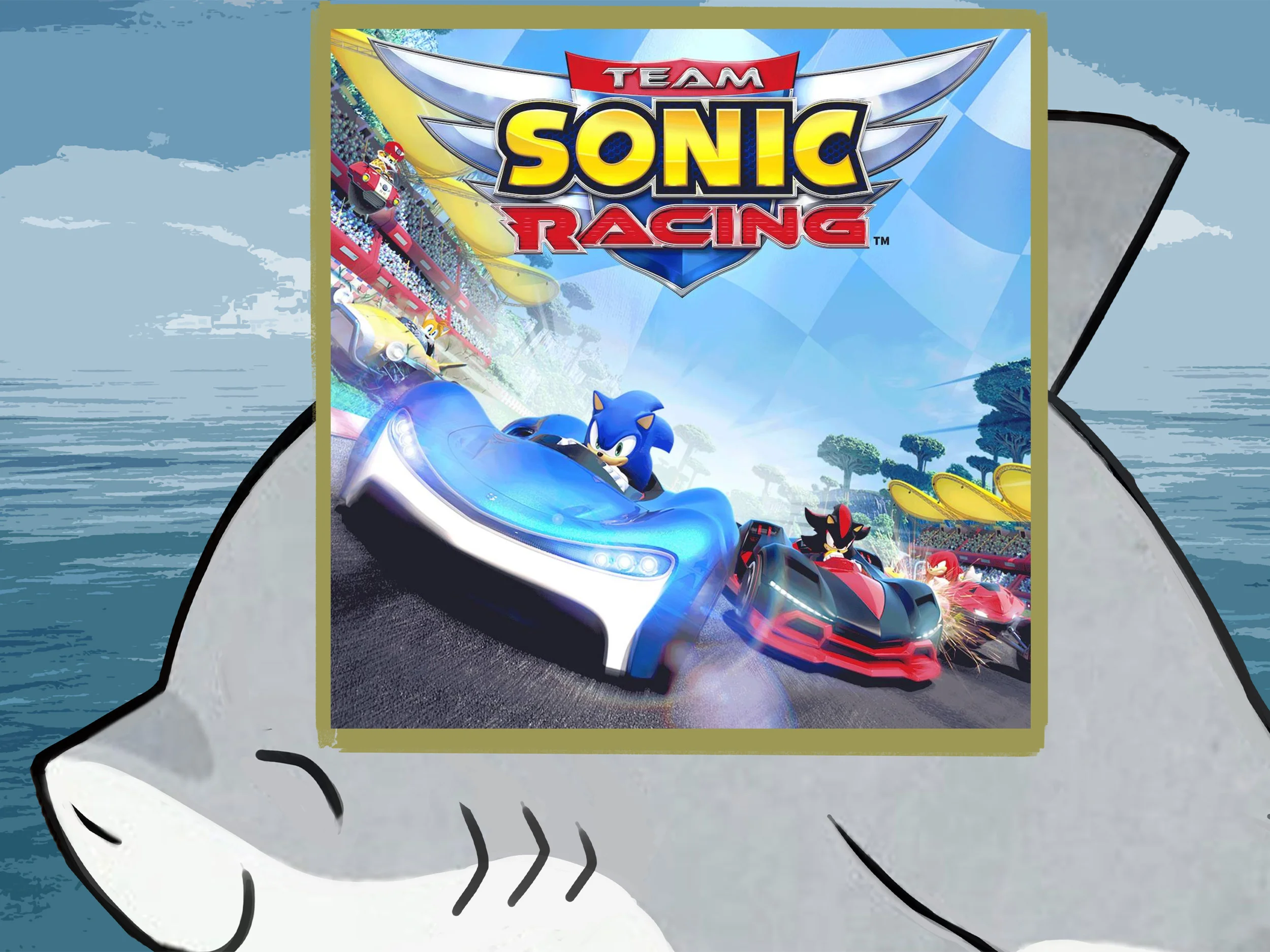 Team Sonic Racing PS4 PS5 п2 п3
