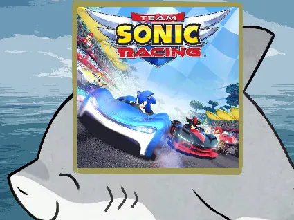 🌀 Team Sonic Racing PS4 PS5 п2 п3