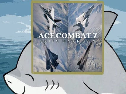 🌀 ACE combat 7: skies unknown PS4 PS5 п2 п3