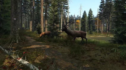 🔥 DayZ | Steam CN
