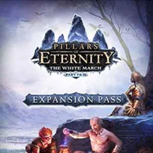 Pillars of Eternity Expansion Pass Steam Key RU