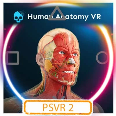  (VR2) Human Anatomy VR (PS5/RU) П3 - Активация