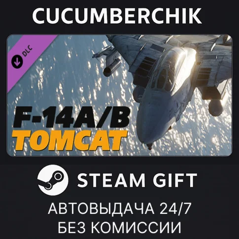 DCS: F-14 by Heatblur SimulationsSTEAM GIFTRU+МИР