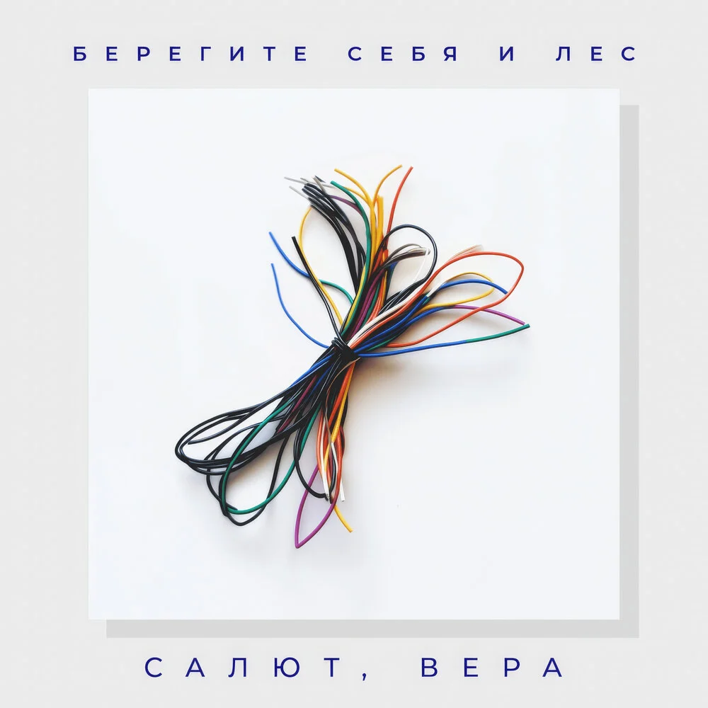 Берегите себя и лес - Салют, Вера