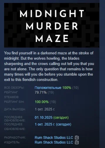 Midnight Murder Maze АВТОДОСТАВКА STEAM РОССИЯ