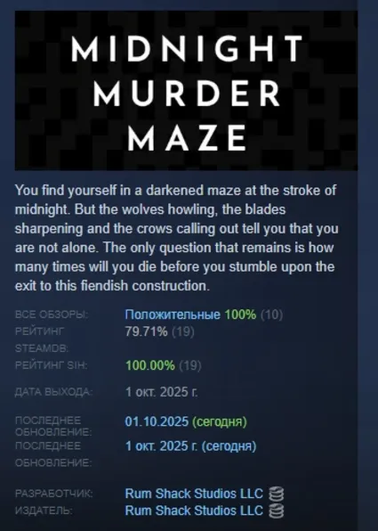 Midnight Murder Maze АВТОДОСТАВКА STEAM РОССИЯ