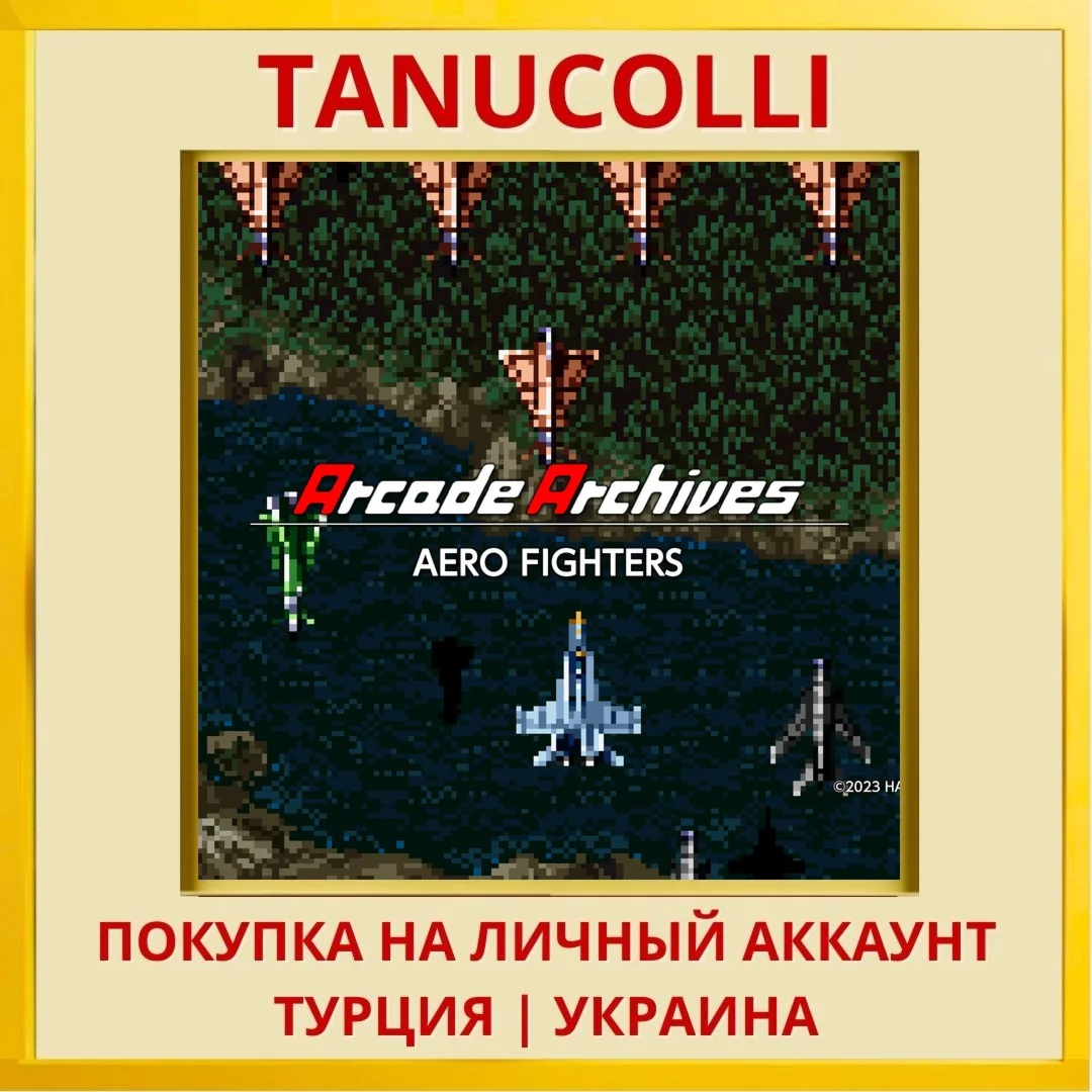 Arcade Archives AERO FIGHTERS PS4/PS5/PS Турция/Украина