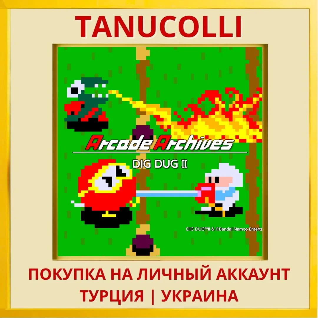 Arcade Archives DIG DUG II PS4/PS5/PS Турция/Украина