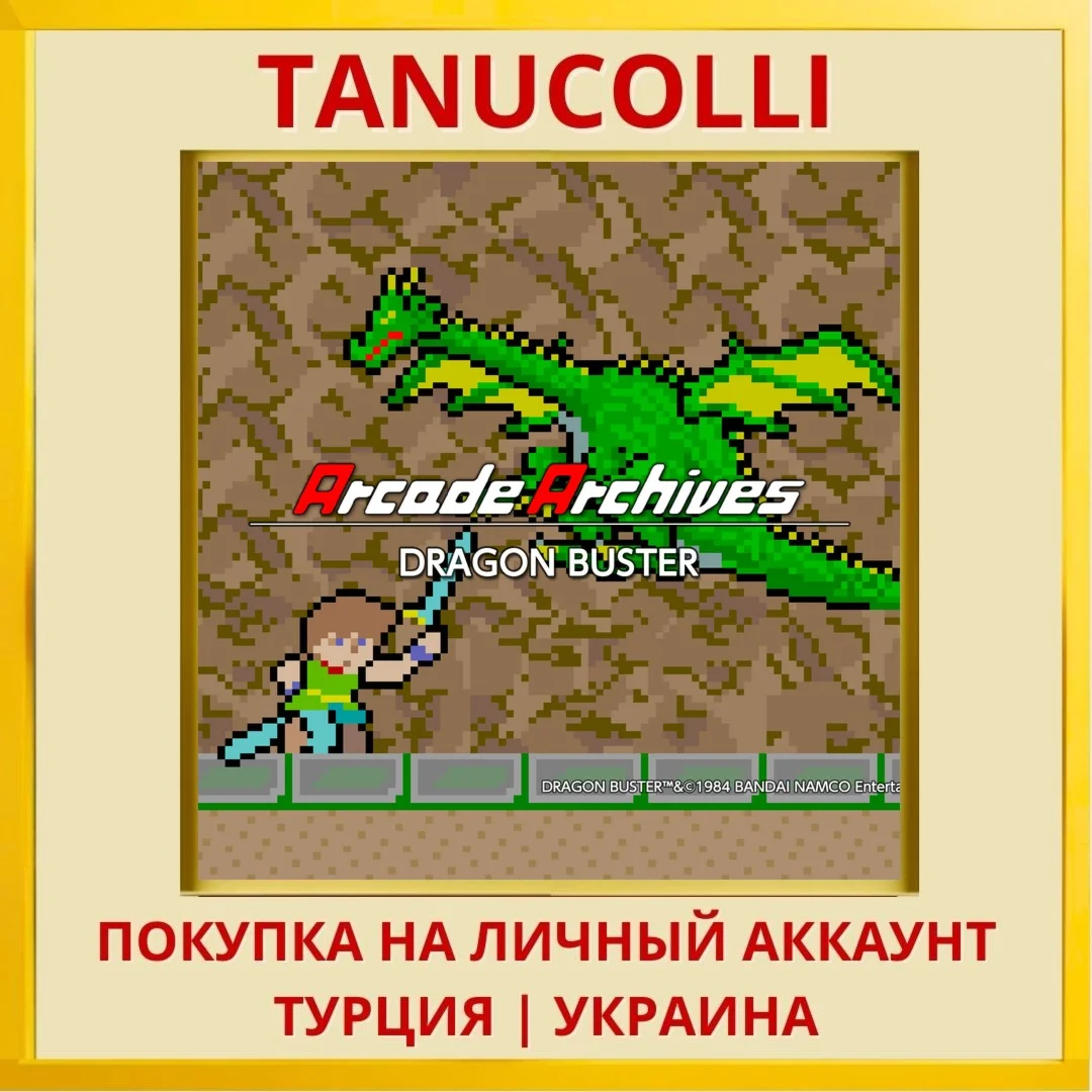 Arcade Archives DRAGON BUSTER PS4/PS5/PS Турция/Украина