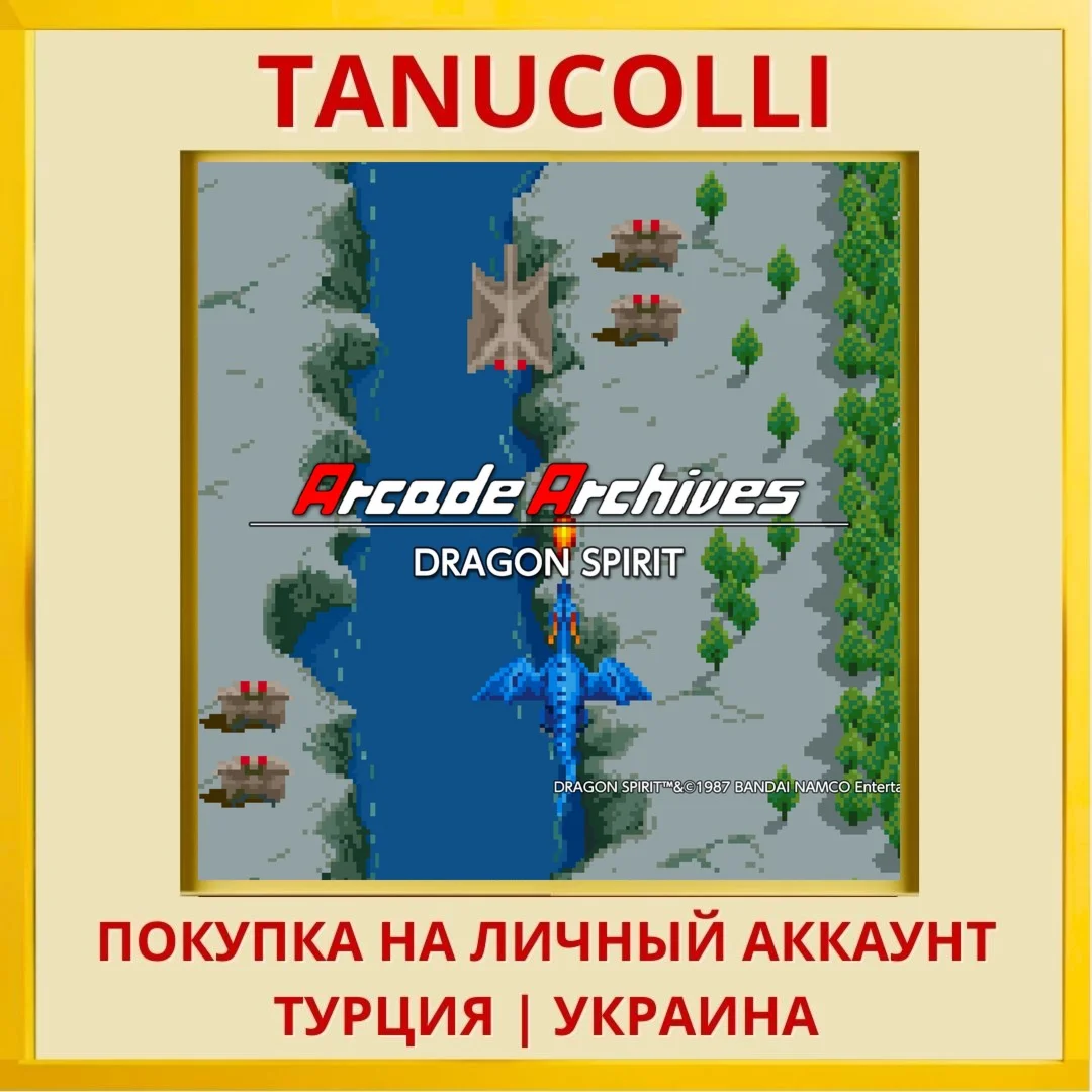 Arcade Archives DRAGON SPIRIT PS4/PS5/PS Турция/Украина