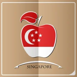 APPLE ID PERSONAL SINGAPORE SINGAPOREAN ios iPad iPhone