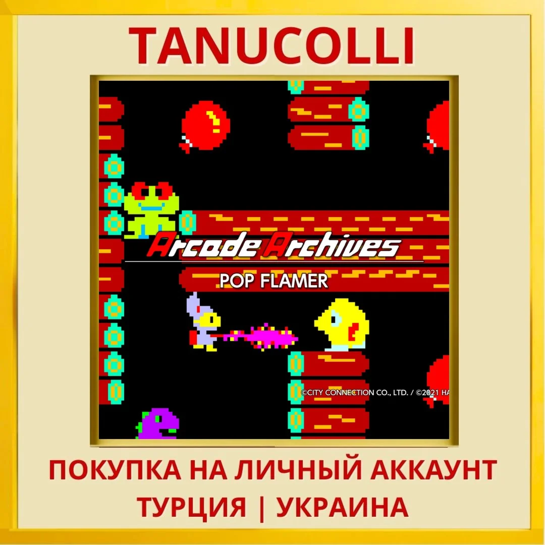 Arcade Archives POP FLAMER PS4/PS5/PS Турция/Украина
