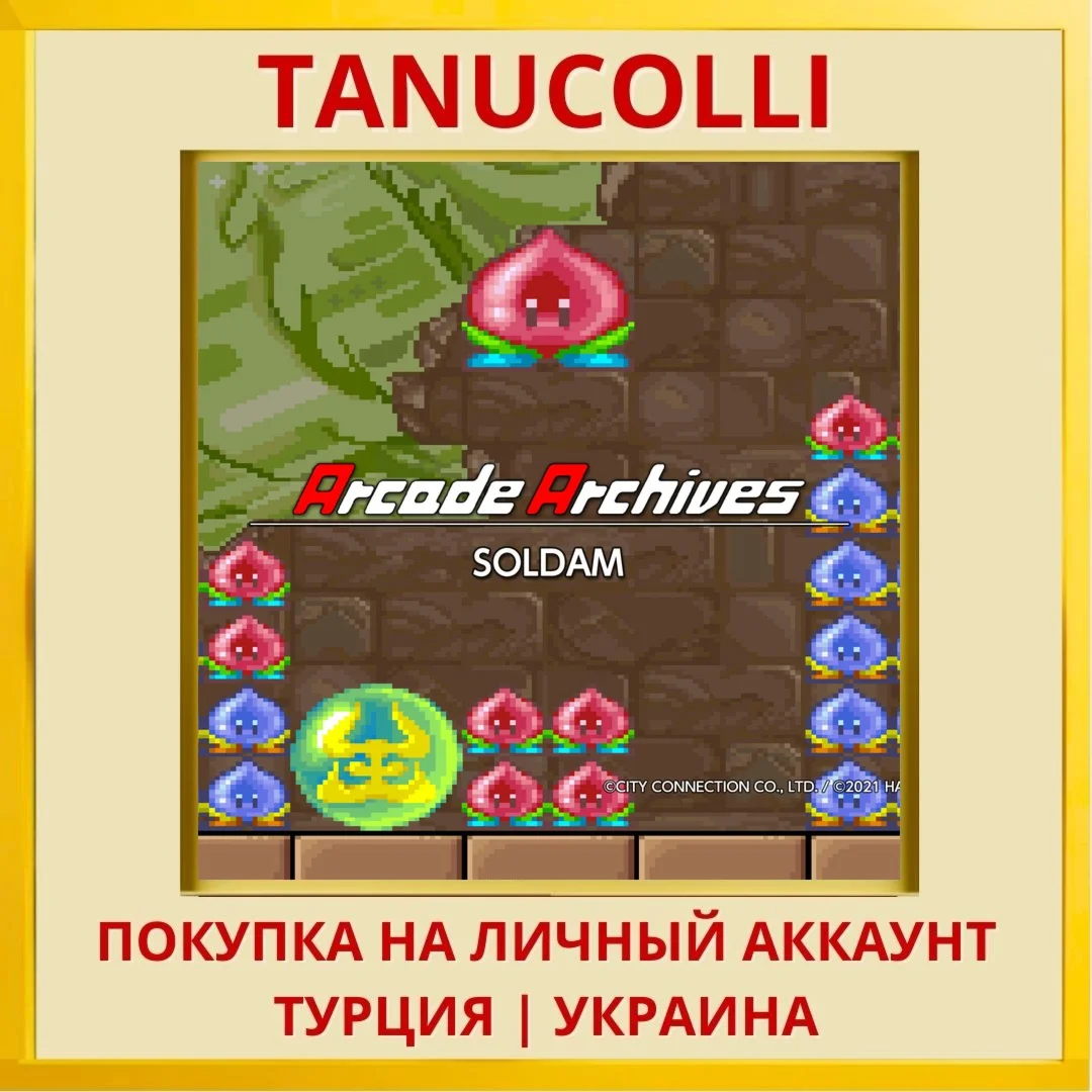Arcade Archives SOLDAM PS4/PS5/PS Турция/Украина