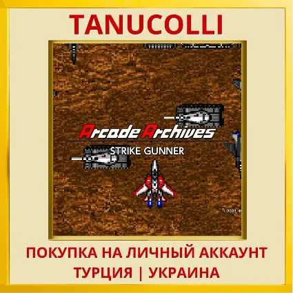 Arcade Archives STRIKE GUNNER PS4/PS5/PS Турция/Украина