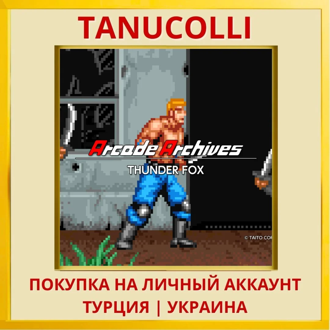 Arcade Archives THUNDER FOX PS4/PS5/PS Турция/Украина