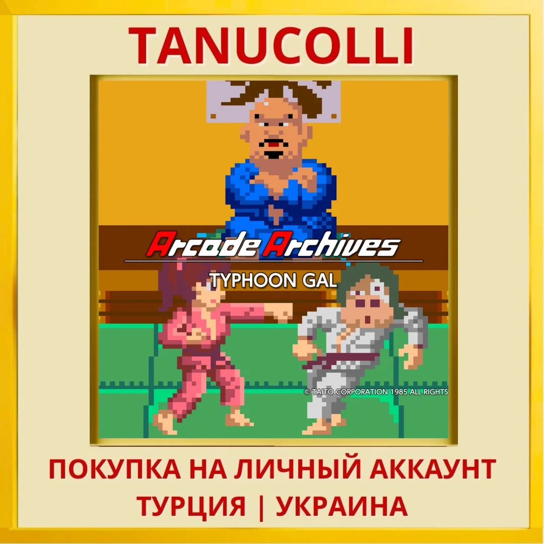 Arcade Archives TYPHOON GAL PS4/PS5/PS Турция/Украина