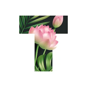 Текст Стильные шрифты Арт-история PRO 1 ГОД iPhone ios