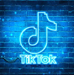Подписчики TikTok быстро набирают популярность