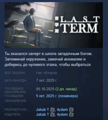 Last Term АВТОДОСТАВКА STEAM РОССИЯ