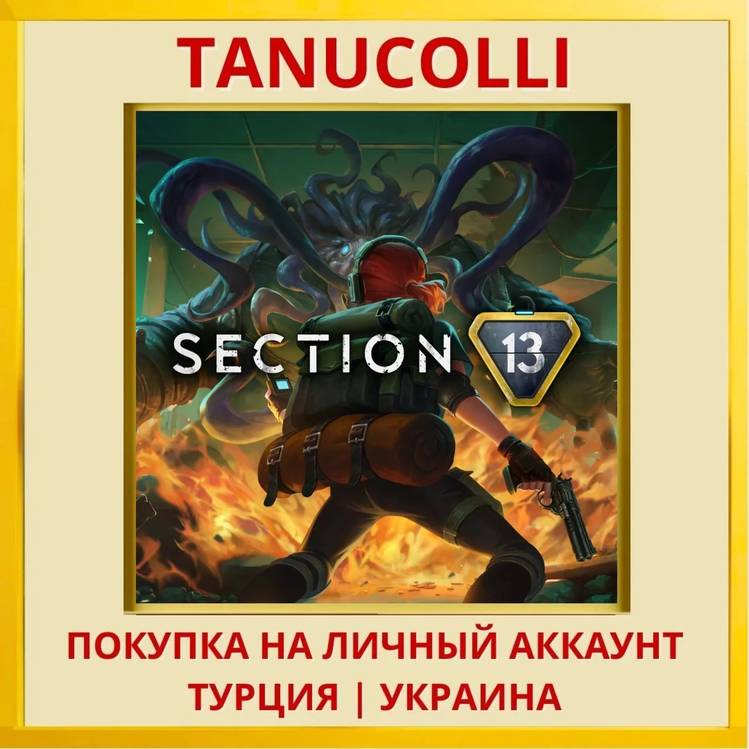Section 13 PS5/PS Турция/Украина