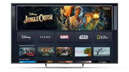 Общий аккаунт Disney Plus Premium
