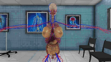Анатомия человека VR Мета Квест