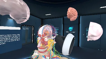 Анатомия человека VR Мета Квест