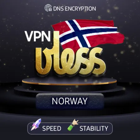 VPN Norway (VLESS key🛡️) 1-12m 🚀 DNS encryption