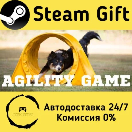  Agility Game ???? Steam Gift РФ/КЗ/др.  Автодоставка