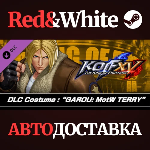THE KING OF FIGHTERS XV - DLC Costume * STEAM RU