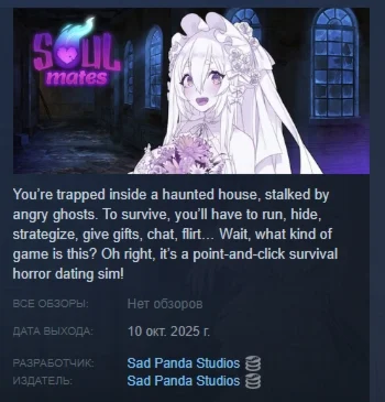 Soul Mates АВТОДОСТАВКА STEAM РОССИЯ