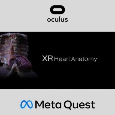 XR Heart Anatomy Oculus Quest