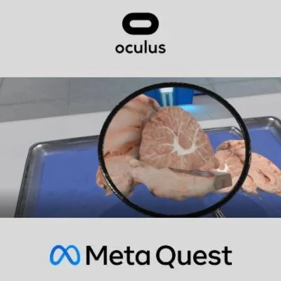 Dissection Simulator: Mammalian Organ Pack Oculus Quest
