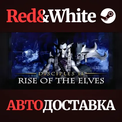 Disciples II: Rise of the Elves * STEAM 🔥 АВТОДОСТАВКА