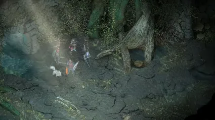 Pillars of Eternity: Complete Edition | Nintendo Switch 1/2