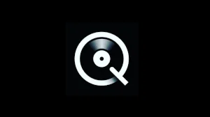 Подписка на личный аккаунт Qobuz Studio на 6 месяцев