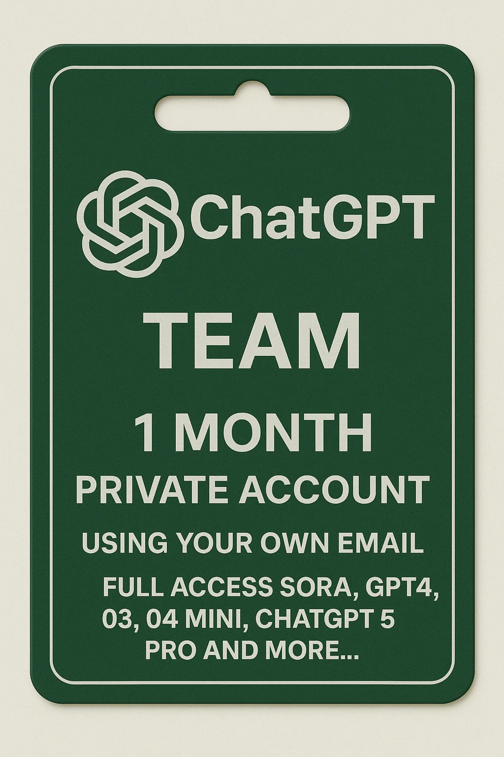 ChatGPT Plus  Team 1 Month Private Account