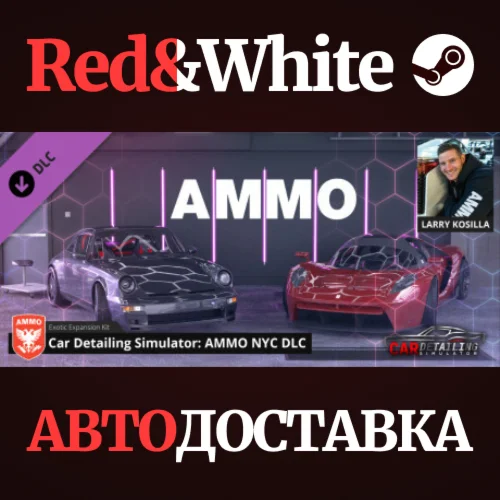 Car Detailing Simulator - AMMO NYC DLC * STEAM RU