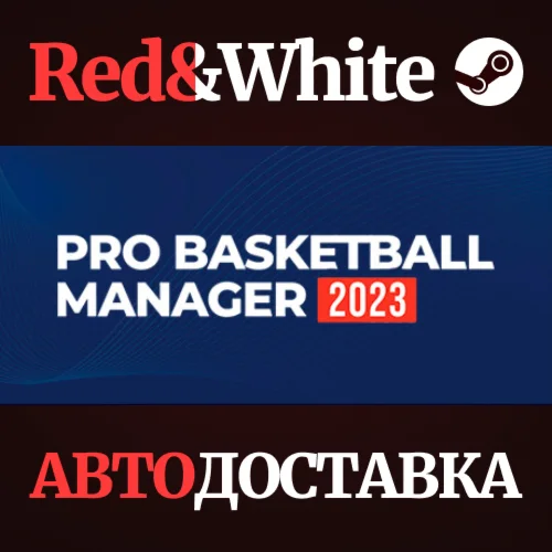 Pro Basketball Manager 2023 * STEAMАВТОДОСТАВКА