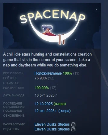 Spacenap АВТОДОСТАВКА STEAM РОССИЯ