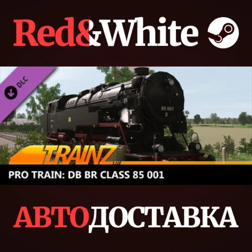 Trainz 2022 DLC - Pro Train: DB BR Class 85 001