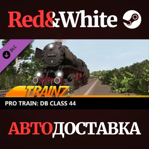 Trainz 2022 DLC - Pro Train: DB Class 44 * STEAM RU