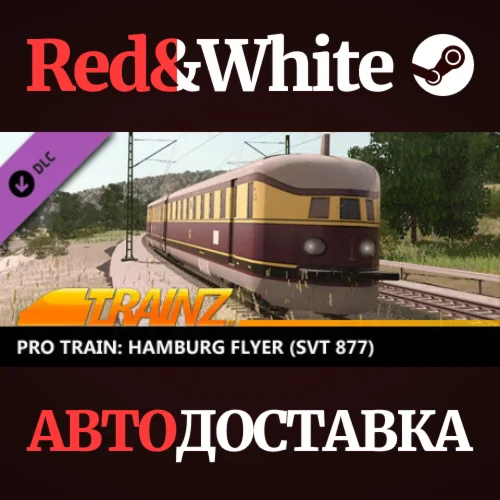 Trainz 2022 DLC - Pro Train: Hamburg Flyer (SVT 877)